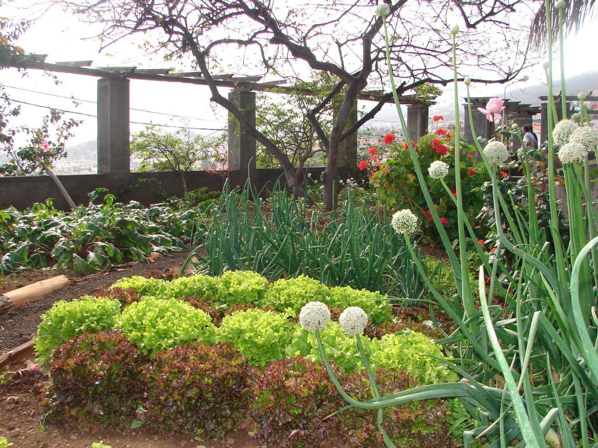 Appartamento Quinta Do Bom Sucesso Funchal  Esterno foto