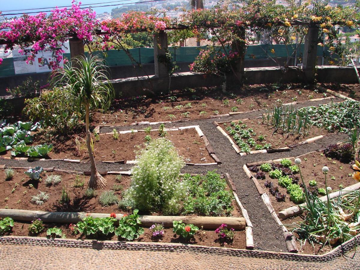Appartamento Quinta Do Bom Sucesso Funchal  Esterno foto