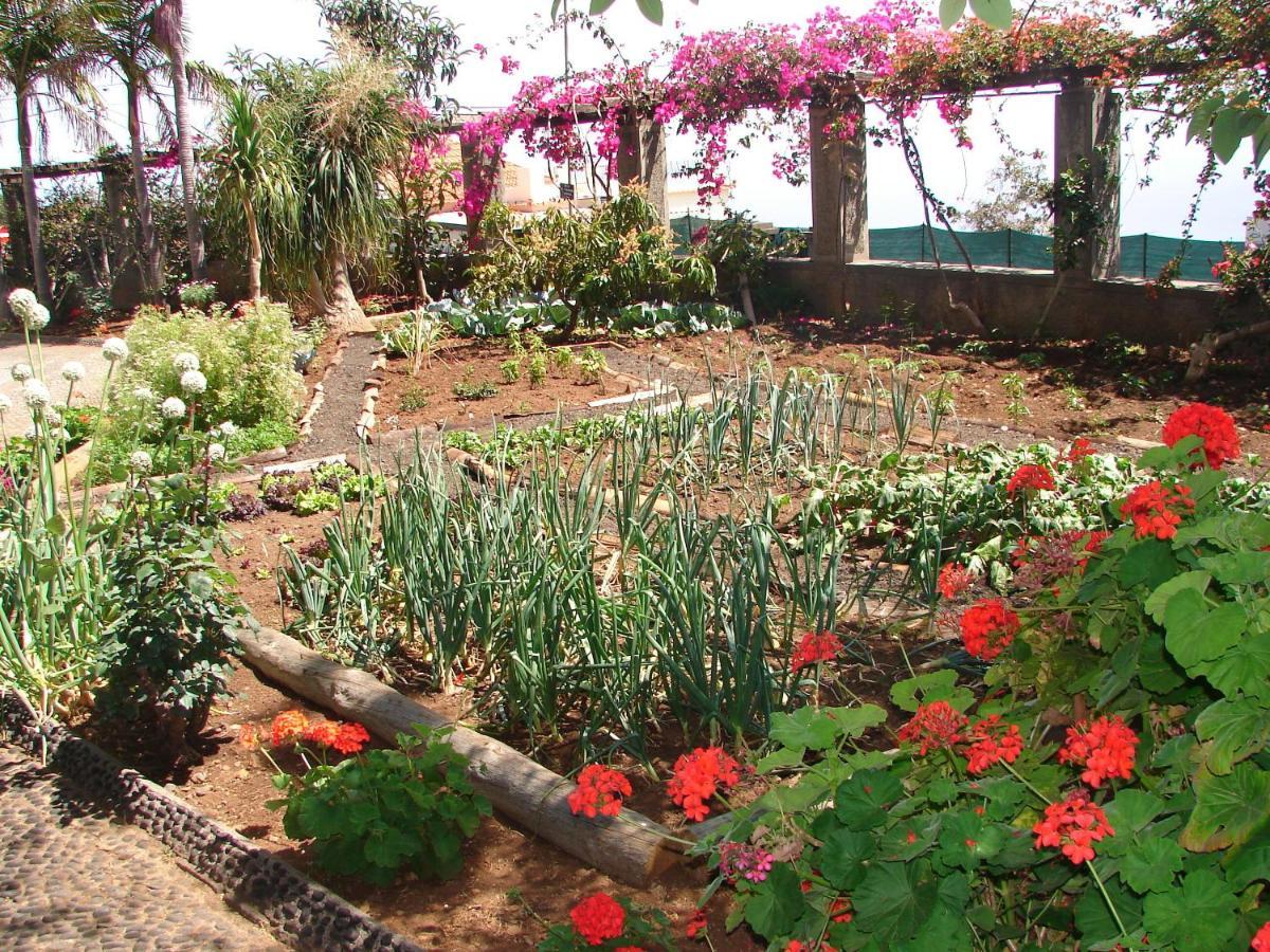 Appartamento Quinta Do Bom Sucesso Funchal  Esterno foto