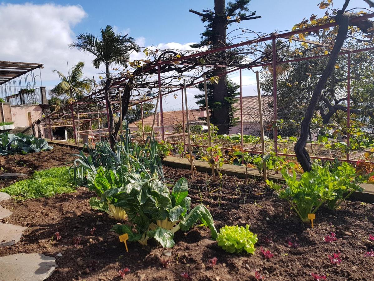 Appartamento Quinta Do Bom Sucesso Funchal  Esterno foto