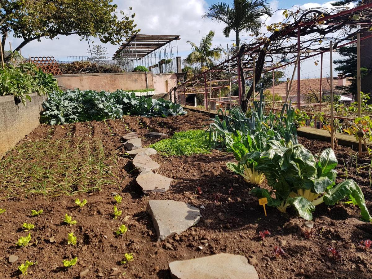 Appartamento Quinta Do Bom Sucesso Funchal  Esterno foto