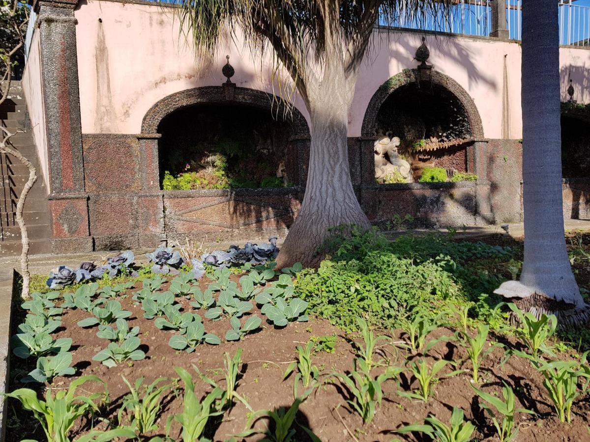 Appartamento Quinta Do Bom Sucesso Funchal  Esterno foto