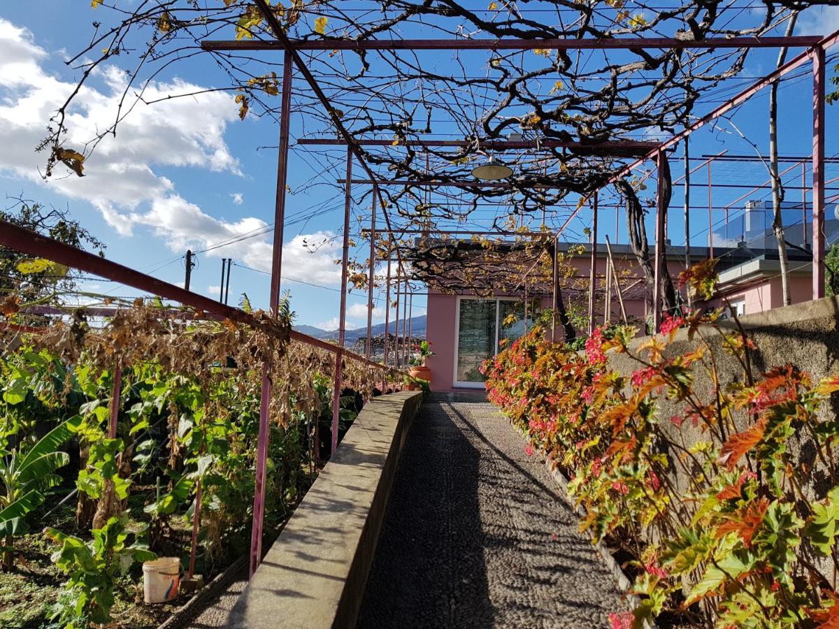 Appartamento Quinta Do Bom Sucesso Funchal  Esterno foto