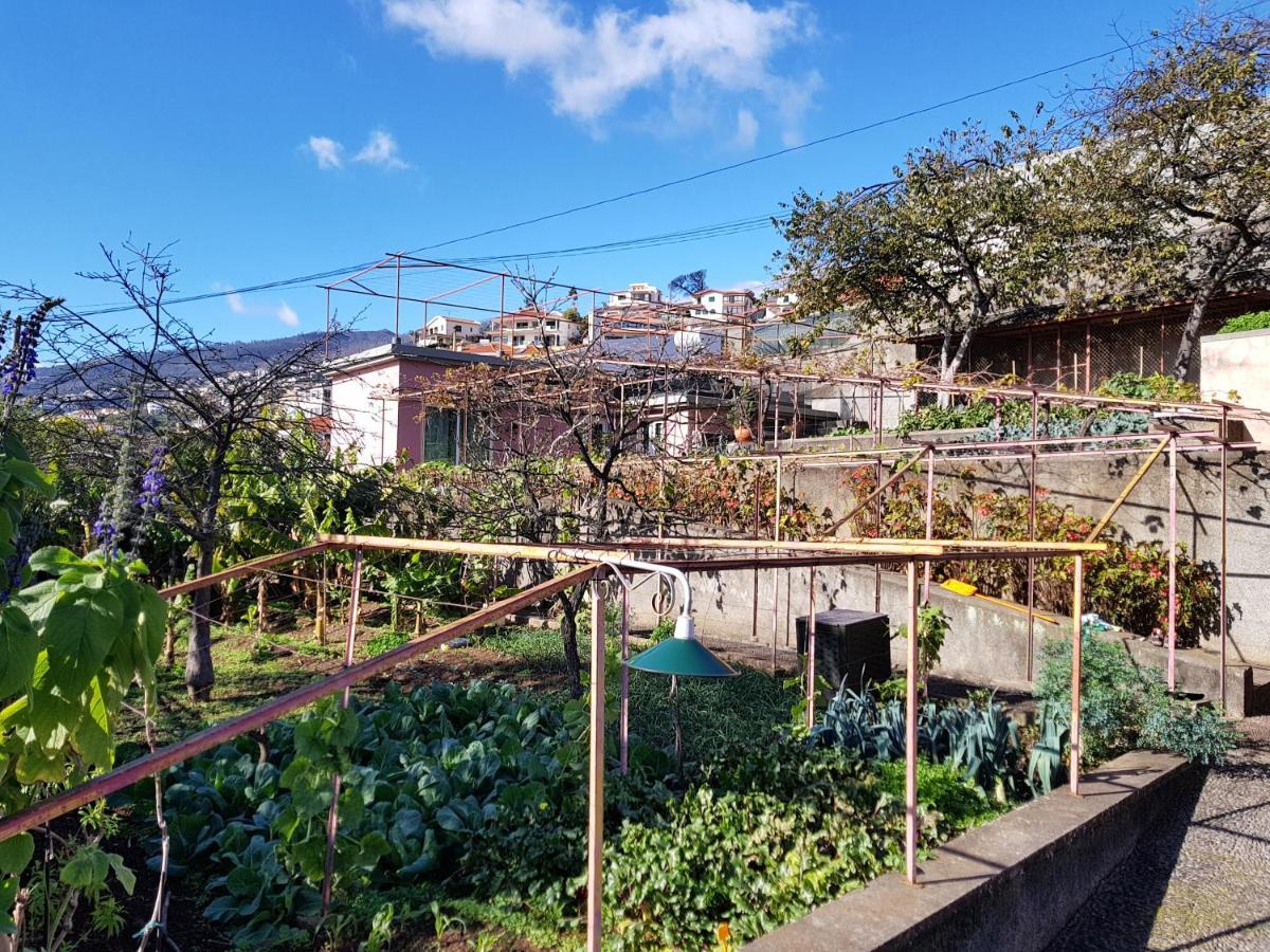 Appartamento Quinta Do Bom Sucesso Funchal  Esterno foto
